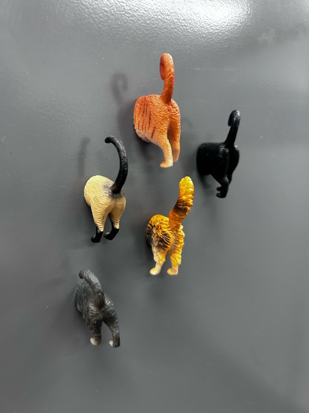 Set of Cat Butt Magnets- Multicolor